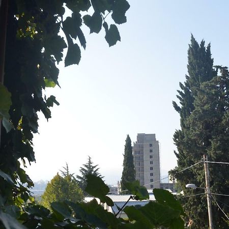 Alex'S Cosy Guesthouse Тбилиси Екстериор снимка