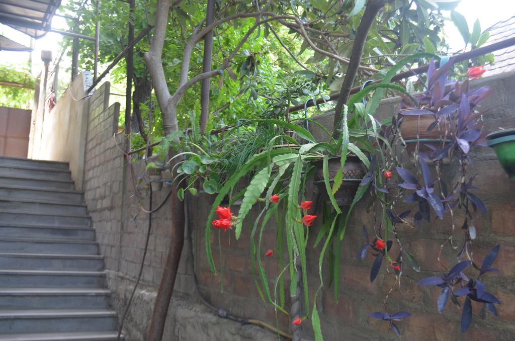 Alex'S Cosy Guesthouse Тбилиси Екстериор снимка